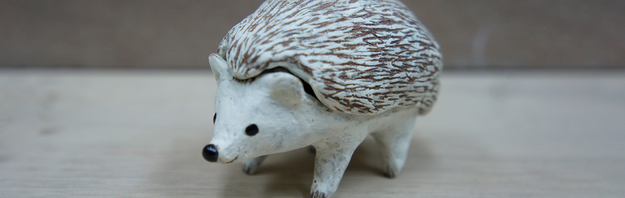 陶芸教室サカイ工房